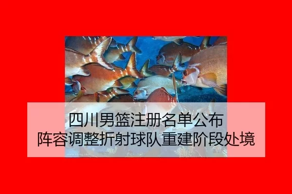 四川男篮注册名单公布 阵容调整折射球队重建阶段处境